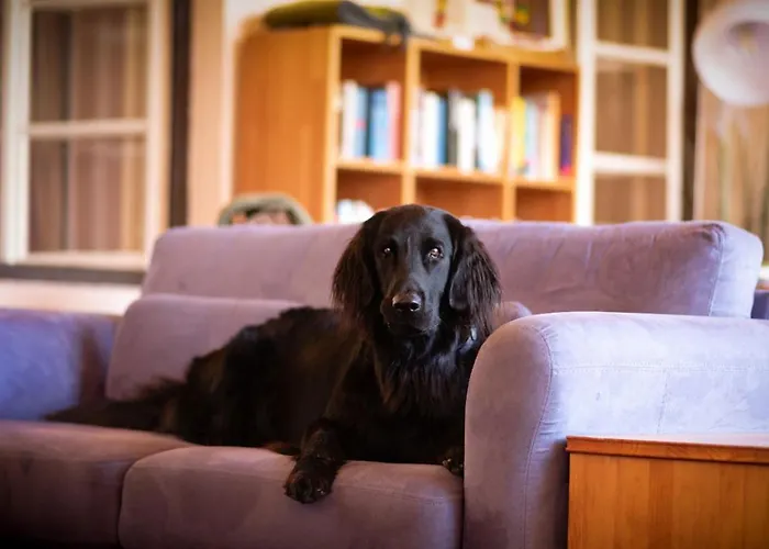 Der Eberhard - Sleep & Dine A9 Exit 133